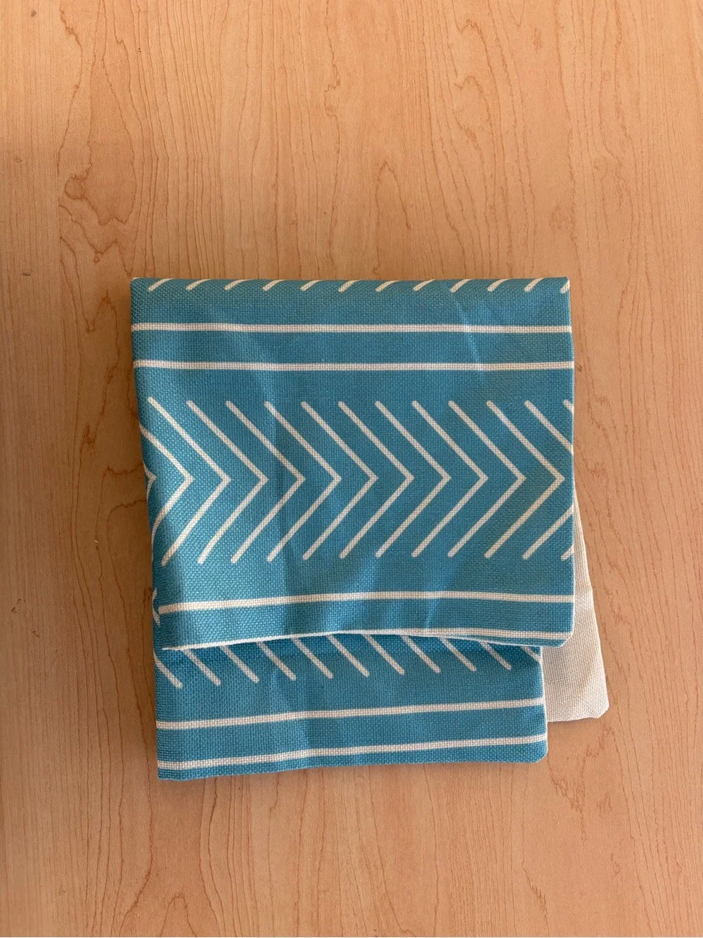 Home Accents Blue Chevron Decorative Pillow Cover